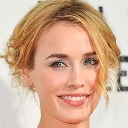 Dominique McElligott net worth