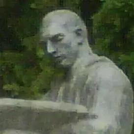 Mato Celestin Medovic net worth