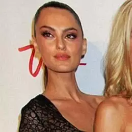 Catrinel Menghia net worth