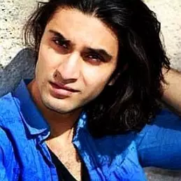 Ahad Raza Mir net worth