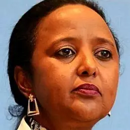 Amina Mohamed net worth