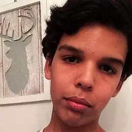 Harry Montalvo net worth