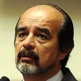 Mauricio Mulder net worth