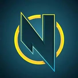 NapkinNate net worth