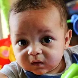 Maddox Null net worth