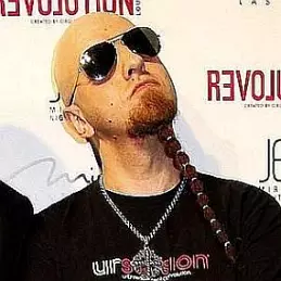 Shavo Odadjian net worth