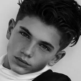 Ozzy Model net worth