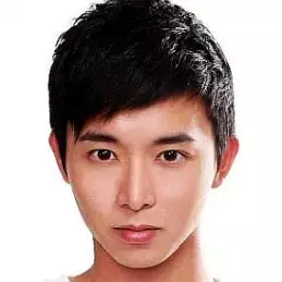 Aloysius Pang net worth