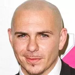 Pitbull net worth