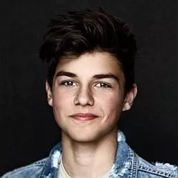 Harvey Petito net worth