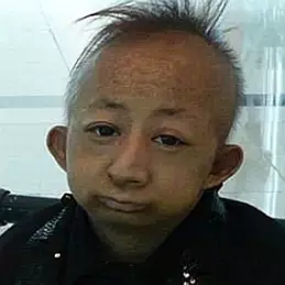 He Pingping net worth