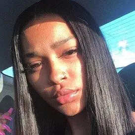 Pink Draco net worth