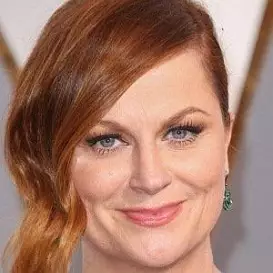 Amy Poehler net worth