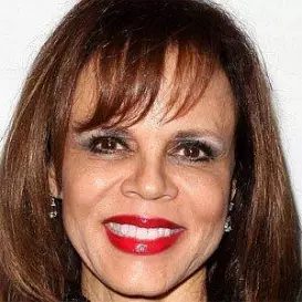 Deborah Pratt net worth
