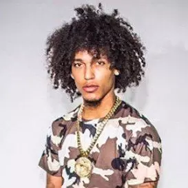 Project Youngin net worth