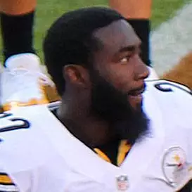 Chris Rainey net worth