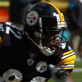 Antwaan Randle El net worth