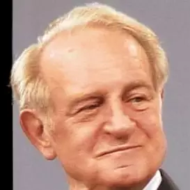 Johannes Rau net worth