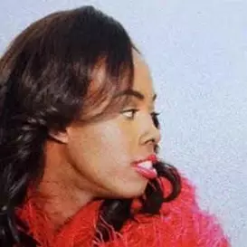 Chrissy Renaee net worth