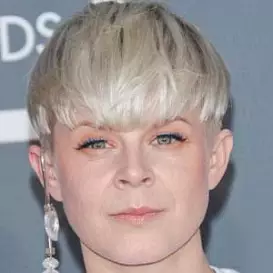 Robyn net worth