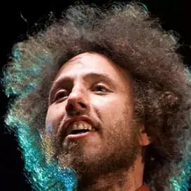 Zack de la Rocha net worth