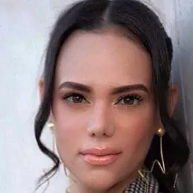 Arlin Rodriguez net worth