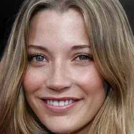 Sarah Roemer net worth