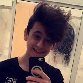 Filip Ronaj net worth