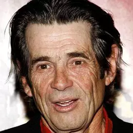 Alan Rosenberg net worth