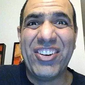 Mehdi Sadaghdar net worth