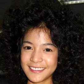 Apinya Sakuljaroensuk net worth