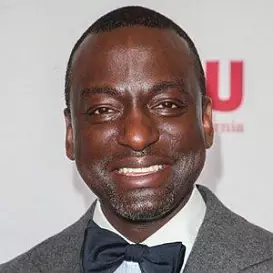 Yusef Salaam net worth