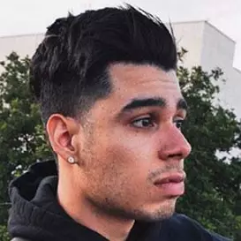 Wilkins Salas net worth