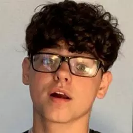 Vinnie Salek net worth