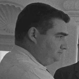 Pierre Salinger net worth