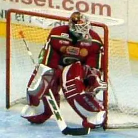 Tommy Salo net worth