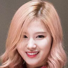Minatozaki Sana net worth