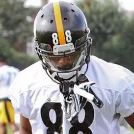 Emmanuel Sanders net worth