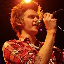 Nick Santino net worth