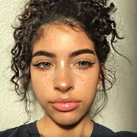 Vereena Sayed net worth