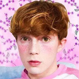 Scaredy Kat net worth