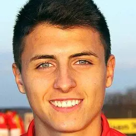 Alessandro Schöpf net worth