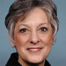 Allyson Schwartz net worth