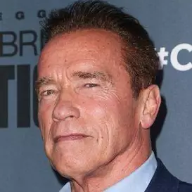 Arnold Schwarzenegger net worth