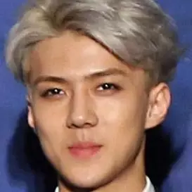 Sehun net worth