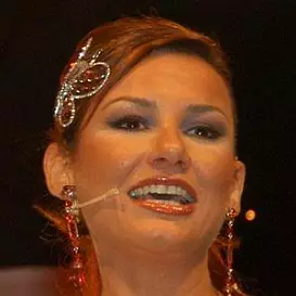 Deniz Seki net worth