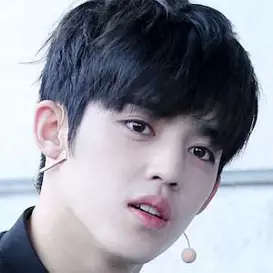 Choi Seungcheol net worth
