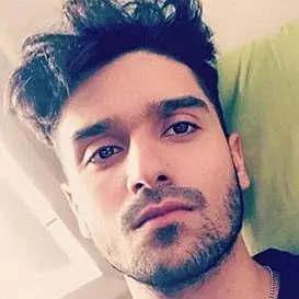 Ali Shanawar net worth