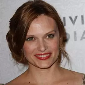 Vinessa Shaw net worth