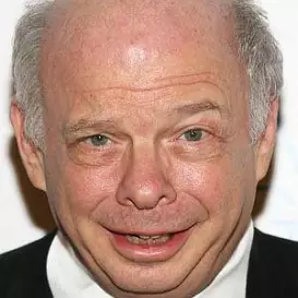 Wallace Shawn net worth
